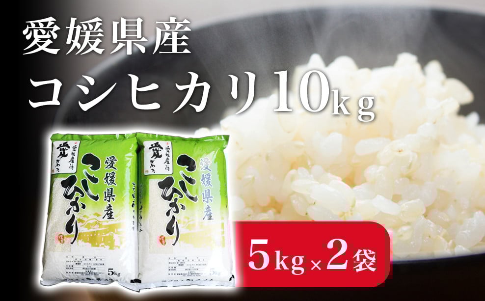 
            米 こめ お米 おこめ コシヒカリ こしひかり 10kg 白米 ごはん 四国中央市 愛媛県 おいしい ふっくら 【四国中央市 紙のまち 日本一】
          