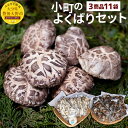 【ふるさと納税】小町のよくばりセット どんこ乾椎茸(45g×6パック) スライス椎茸(30g×4パック) なしこのなばこ(粉末)(45g×1本) 国産 セット 九州産 どんこ しいたけ 大分県 乾椎茸 干しシイタケ 送料無料