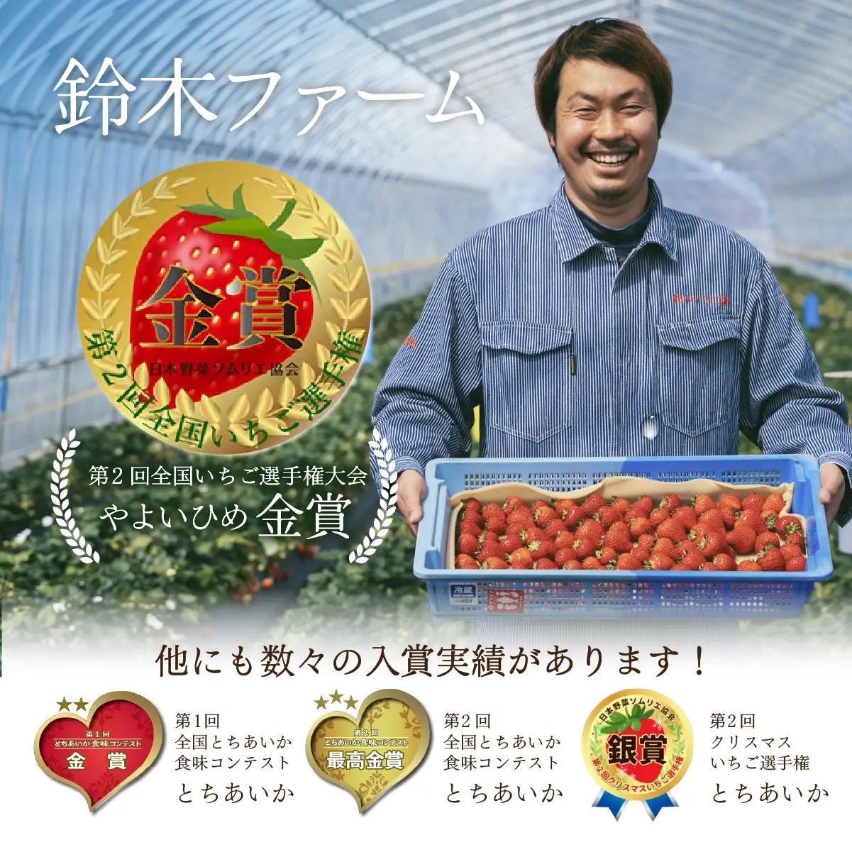 いちご【1月発送】朝採れやよいひめ レギュラー 約1080g |イチゴ 栃木県 茂木町