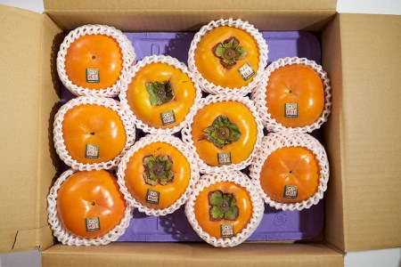 【期間限定発送】糖度が高く サクサクとした食感 柿 ! 福岡県開発 ブランド柿 「秋王」8～12玉 [南国フルーツ 福岡県 筑紫野市 21760120]