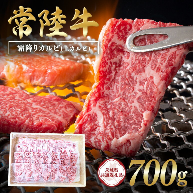 【ふるさと納税】常陸牛　霜降りカルビ（上カルビ）700g 【茨城県共通返礼品 / 茨城県産】 C09-009
