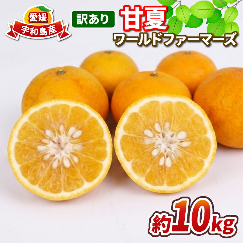 【ふるさと納税】 愛媛みかん 訳あり 甘夏 10kg ワールドファーマーズ 先行予約 わけあり 夏みかん 甘夏柑 あまなつ 愛媛ミカン 愛媛蜜柑 訳ありみかん 訳あり蜜柑 mikan 果物 くだもの フルーツ 柑橘 みかん 蜜柑 数量限定 産地直送 国産 愛媛 宇和島 B010-024025