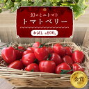 【ふるさと納税】高評価☆4.71 幻 トマトベリー お試し 約 800g 甘い いちご型 フルーツミニトマト ミニトマト トマト 野菜ソムリエサミット 金賞 受賞 長田農園 薄皮 食べやすい 完全木熟栽培 リコピン お取り寄せ グルメ 野菜 産地直送 長田農園 愛知県 碧南市 送料無料