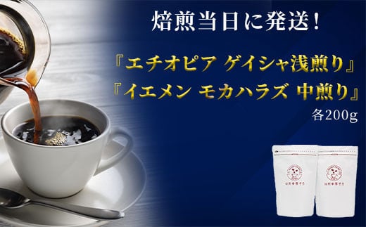 焙煎当日に発送！『エチオピア ゲイシャ浅煎り』＆『イエメン モカハラズ 中煎り』各200g　粉