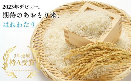 【令和8年産　新米】青森ブランド米 はれわたり 玄米 1袋 5kg [fu-0024-002]