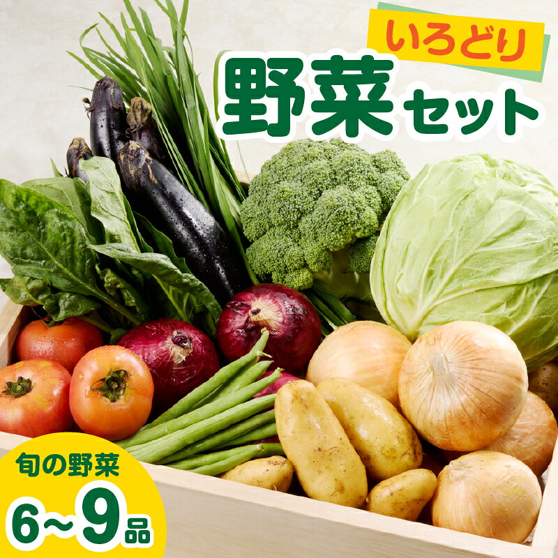 【ふるさと納税】いろどり野菜セット ／ 旬 新鮮 産地直送 詰合せ 果物 フルーツ 国産 佐賀県 玄海町