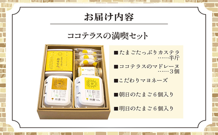 ココテラスの満喫セット ココテラス デイリーファーム セット カステラ マドレーヌ マヨネーズ たまご 卵 朝日 明日 スイーツ お菓子 プレゼント 贈り物 ギフト ギフトセット お取り寄せ 愛知県 