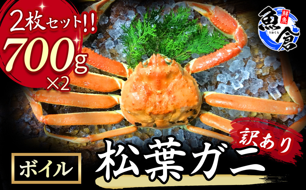 
            【魚倉】訳ありボイル松葉ガニ２枚セット 冷蔵 カニ ボイル 松葉ガニ タグ付き 新鮮 訳あり ズワイガニ カニ爪 期間限定 ずわいがに わけあり 国産 限定価格 限定寄付額 鳥取県 倉吉市
          