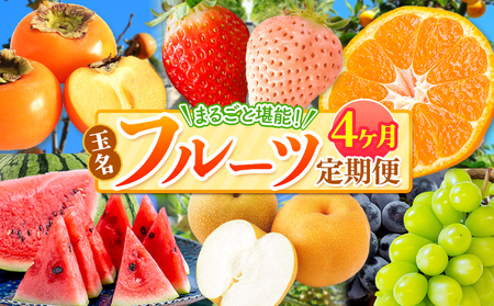 【 定期便 4回 】【秀品｜フルーツ定期便】贈答用 高評価 果物 フルーツ 選べる発送回数 （いちご みかん 不知火 スイカ ぶどう メロン シャインマスカット 梨 柿 アイス クレープ） 2回 ~ 12回 1年 フルーツ定期 フルーツ定期便 果物定期便 果物定期 定期便 フルーツ 果物 お試し 旬 取れたて  熊本県 玉名市