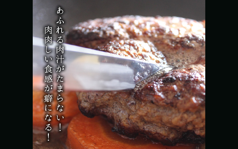 おかず　但馬牛ハンバーグ　福井県高浜町　つなぎ不使用100%　但馬牛ハンバーグ　5個セット　冷凍