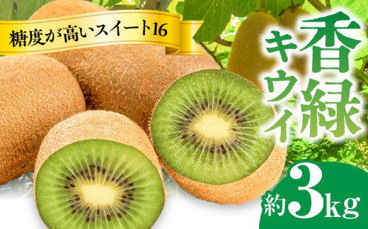 【さぬき讃フルーツ】香緑キウイ(スイート16)約3kg