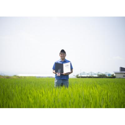 ふるさと納税 南陽市 【令和8年産】山形県産　特別栽培米　つや姫　精米　10kg　10月下旬〜順次発送【S2405】 |  | 02