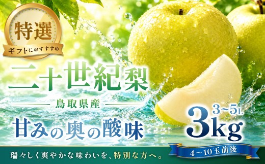 
                  二十世紀梨　特選3kg
                