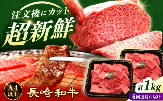 【6回定期便】【形に訳あり】焼肉切り落とし 長崎和牛約1kg（500g×2P）[ECS071]焼肉切り落とし 牛肉 国産 黒毛和牛 和牛 長崎和牛 小分け 冷凍 やきにく 定期便
