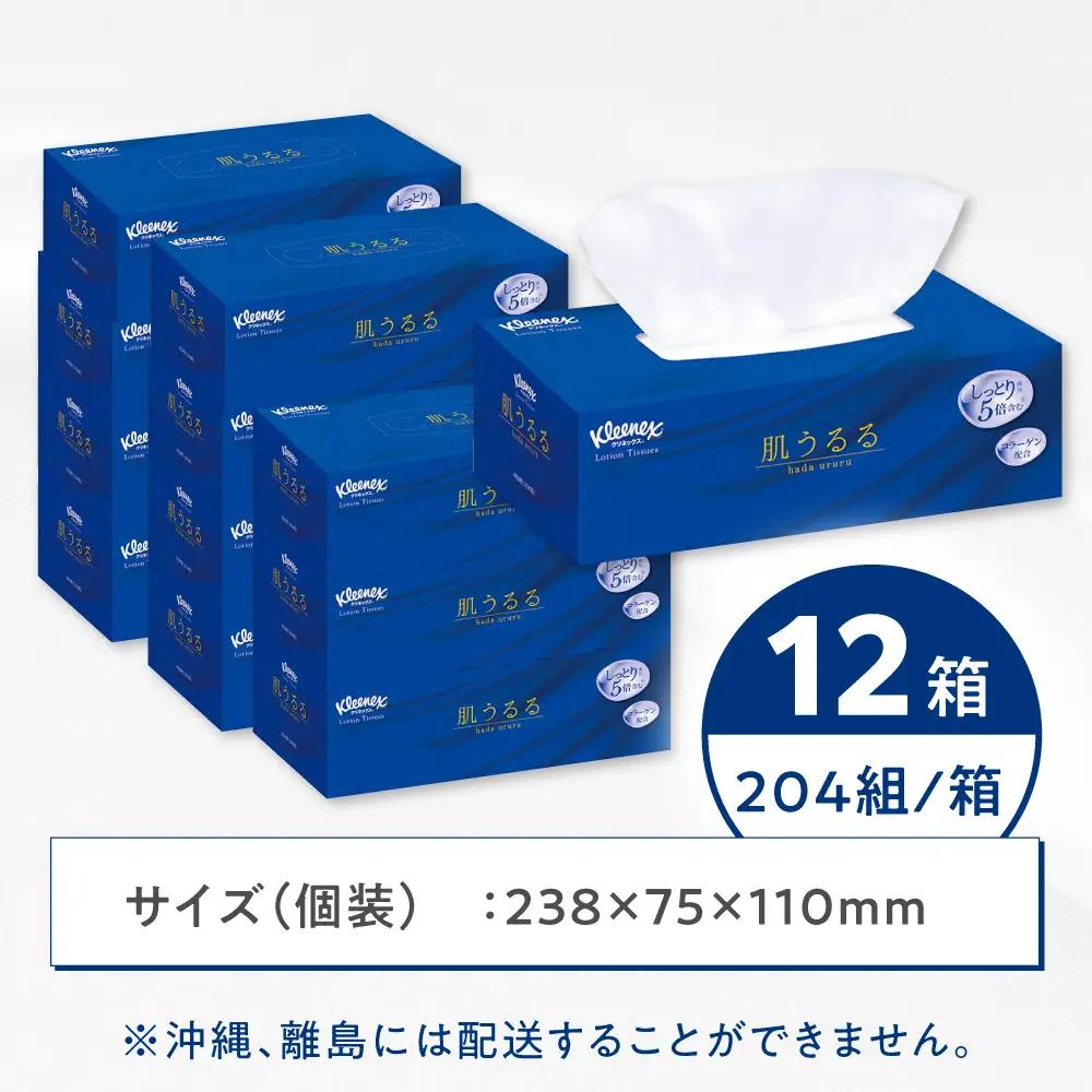 ティッシュペーパー ローション肌うるる 12箱(３箱ｘ4パック)開成町 ティッシュ ペーパー[BDBH005-2]