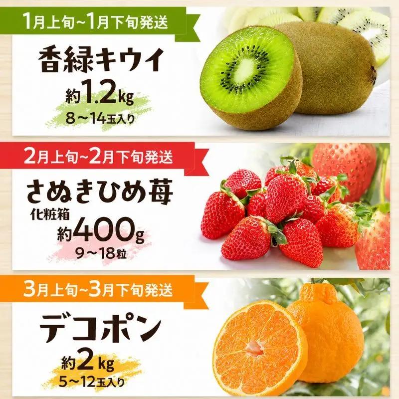 「生活応援企画！」讃岐のフルーツ定期便（全10回）