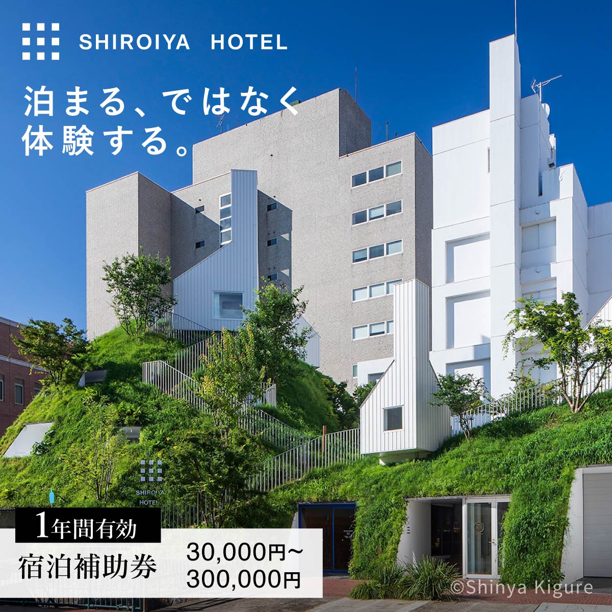 【ふるさと納税】宿泊補助券 白井屋ホテル 選べる補助金額 ｜宿泊券 ホテル 前橋国際芸術祭 宿泊 旅行 旅行券 アートホテル 非日常 五感 刺激 高級ホテル 建築 光 アート 非日常体験 体験 観光 ディナー ぜいたく おしゃれ 絵画 有名 美術 芸術 関東 首都圏 前橋市 群馬県