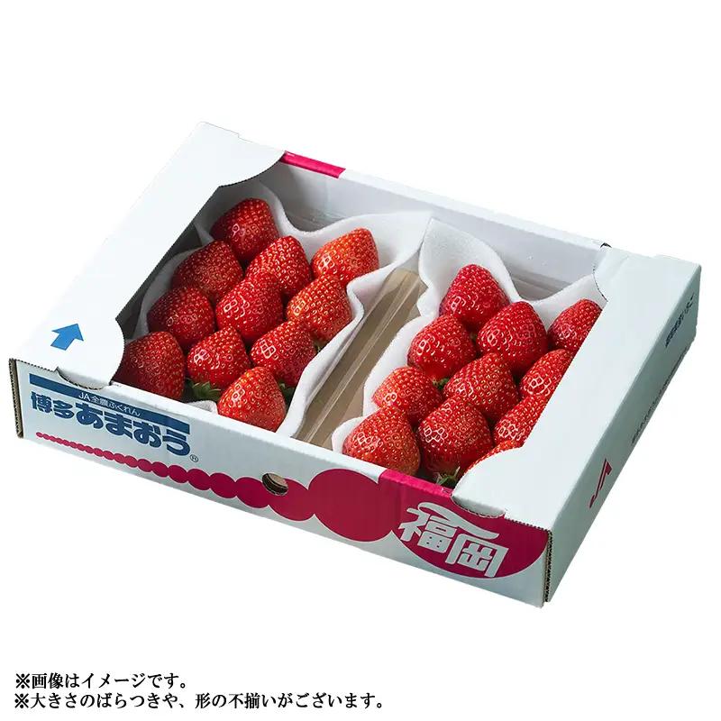 【先行予約】【冬】福岡産あまおう2パック 3V1