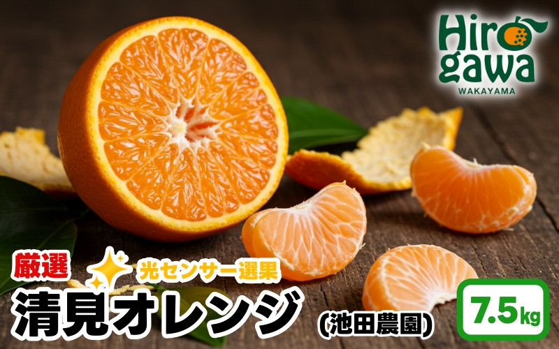 
            清見 オレンジ 厳選 7.5kg+250g（痛み補償分） 光センサー / 清見オレンジ 清見タンゴール きよみ 清美 甘い 高級 和歌山 柑橘 ※2月上旬～6月上旬に順次発送 ※北海道・沖縄・離島への配送不可 【ikd011-p-7d5】
          