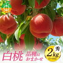 【ふるさと納税】《先行予約・期間限定》山形県産 白桃 秀2kg (5～8玉) 【品種おまかせ】期間限定 数量限定 もも モモ フルーツ 果物 くだもの F4A-0143