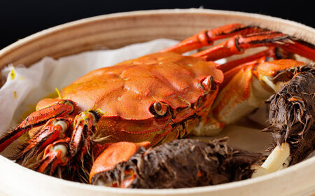 【先行予約】清流鏡川産ツガニ 〈2025年9月から発送〉【土佐の廣丸】 [ATAL002]