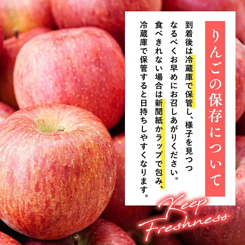 りんご サンふじ 約5kg[hi-0009-006]