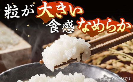 【R7年度産】壱岐産米 なつほのか 5kg[JCZ025] 米