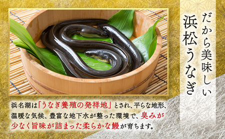 お食事券 うなぎ 浜松市25店舗で使える 18,000円 食事券 補助券 チケット レストラン 料理屋 鰻 ウナギ 丑の日 静岡 静岡県 浜松市