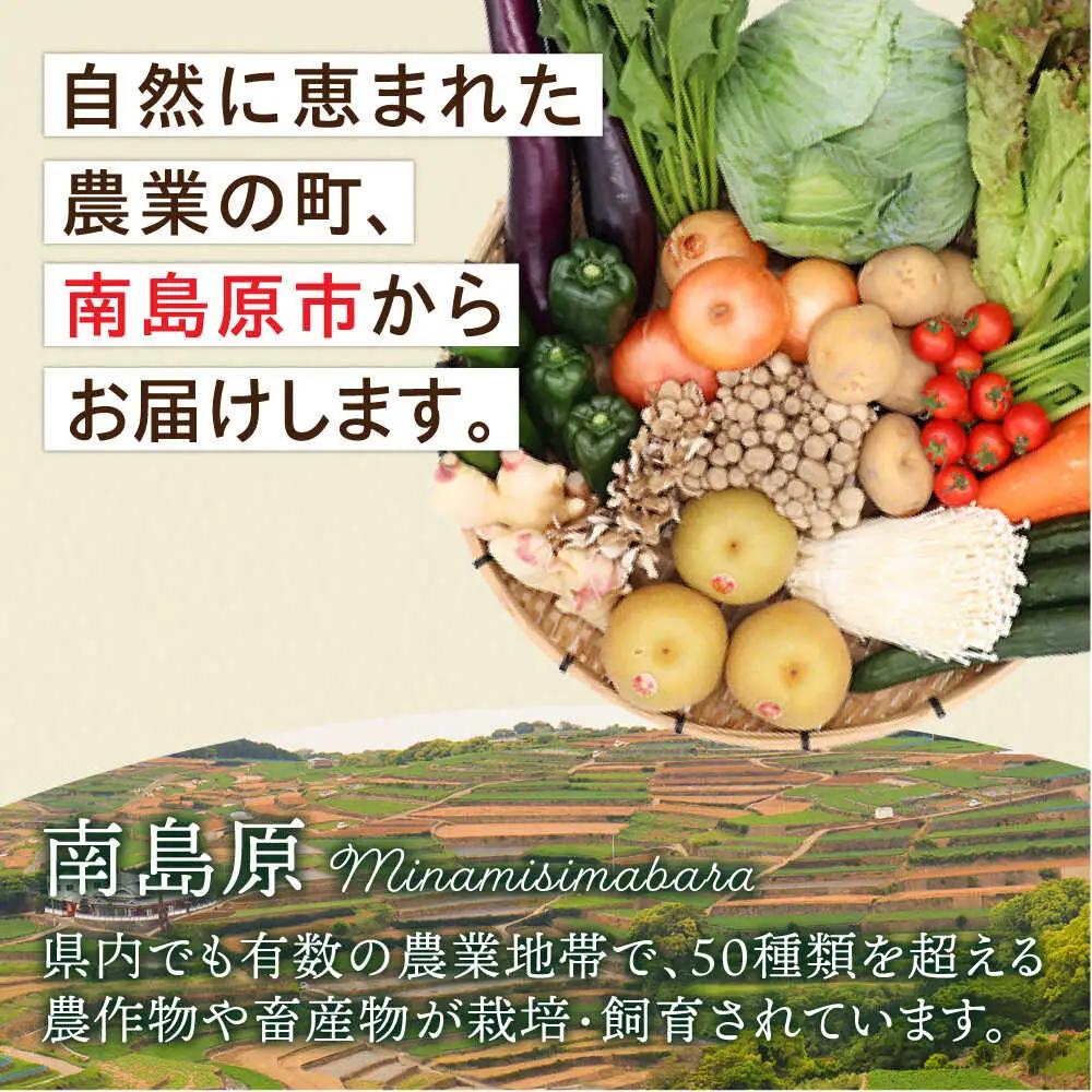 【全24回 月2回お届け】野菜定期便15品目以上 [SCZ003]