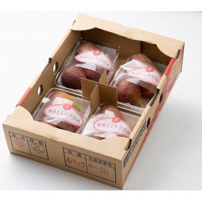 ふるさと納税 桂川町 【先行受付】福岡産ブランドいちじく・とよみつひめ約300g×4パック(桂川町) |  | 01