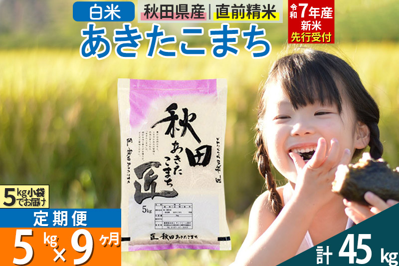 【白米】＜令和7年産 新米予約＞ 《定期便9ヶ月》秋田県産 あきたこまち 5kg (5kg×1袋)×9回 5キロ お米  新米