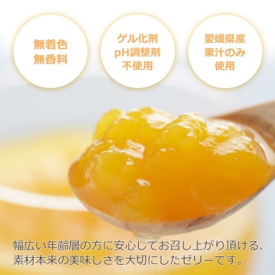 ゲル化剤・pH調整剤不使用!愛媛産 河内晩柑寒天ゼリー 12本セット【D25−223】【1628741】