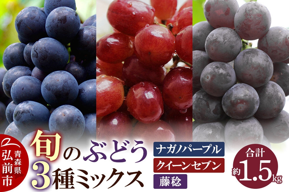 
                  【26年8月下旬～発送】ぶどう 旬のぶどう3種ミックス 約1.5kg（ナガノパープル、クイーンセブン、藤稔）まもる農園 青森県 弘前市 [葡萄 ブドウ 詰め合わせ セット]
                