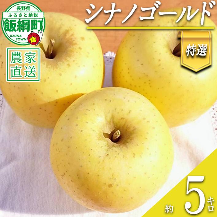 りんご シナノゴールド 特選 5kg やまじゅうファーム 沖縄県