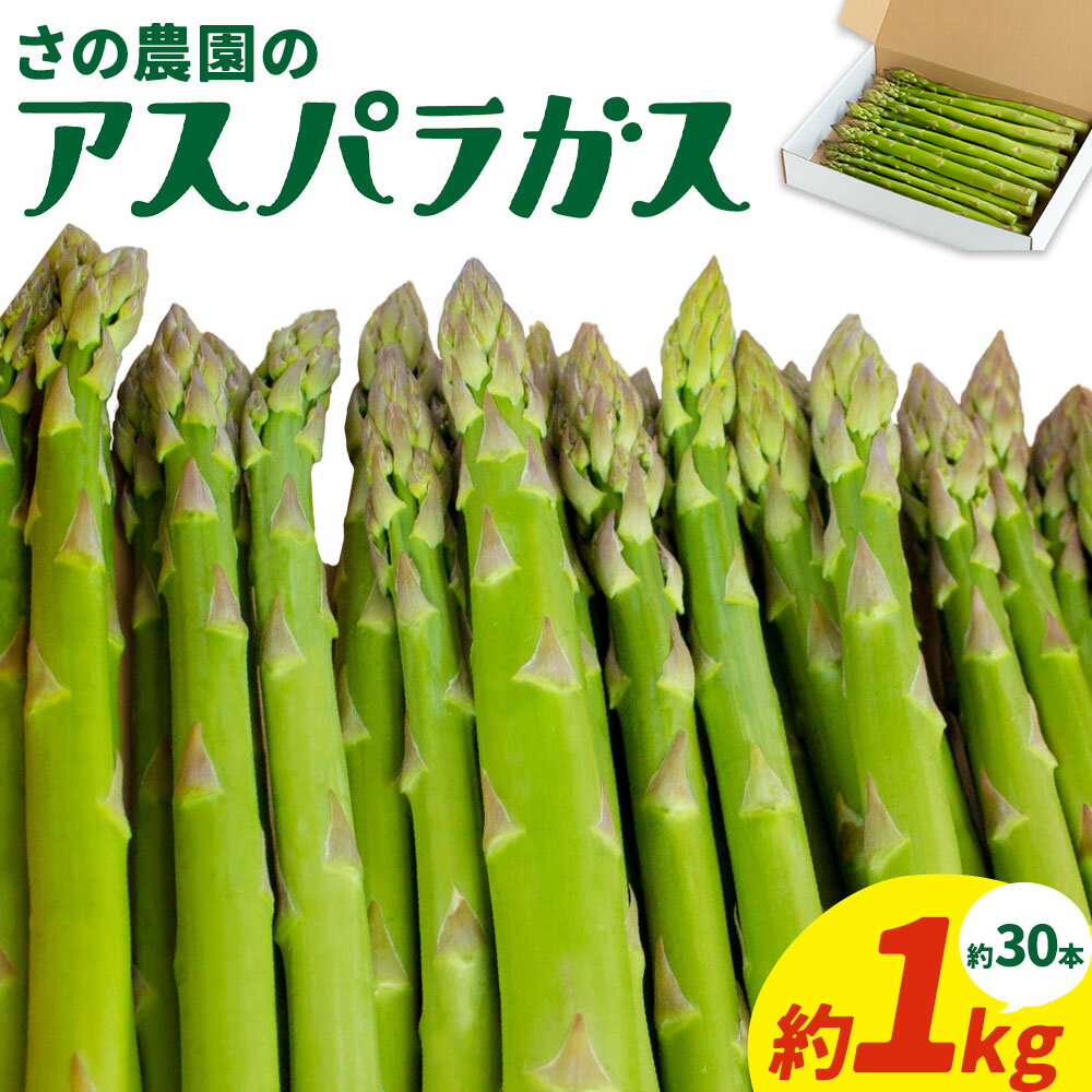 【ふるさと納税】アスパラガス 約 1kg 約 30本 M-2L 野菜 さの農園 岡山県産《4月上旬-10月中旬頃出荷》サラダ アスパラ アスパラベーコン 岡山県 矢掛町
