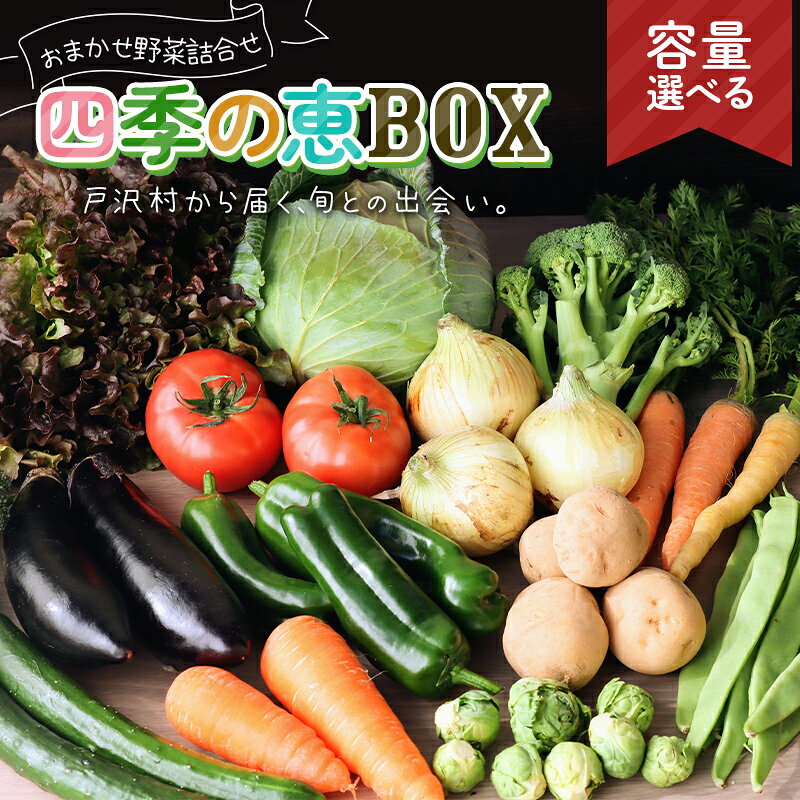 【ふるさと納税】 《容量が選べる》山形県 戸沢村産 野菜詰合せ 農家のおまかせ 四季の恵BOX 4~6品／10品程度 旬の野菜を1回お届け 国産 野菜 やさい 詰め合わせ セット 季節 旬 新鮮 産地直送 自宅 家庭 F7W-0499var