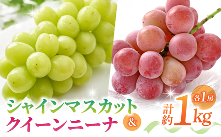 【先行受付2026年発送】【さとのみ果樹園】シャインマスカット＆クイーンニーナ各1房（計1kg以上）※2026年9月中旬～10月中旬順次発送
