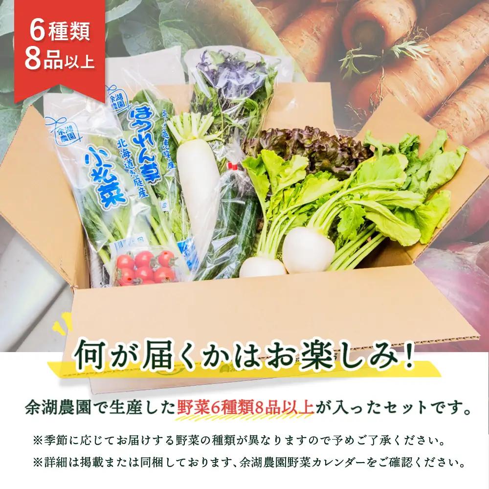 北海道産季節の野菜詰め合わせ 6種類8品【31000503】