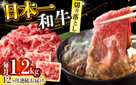 【全12回定期便】【A4～A5】長崎和牛切り落とし　1.2kg(600g×2p）【株式会社 MEAT PLUS】[DBS060]