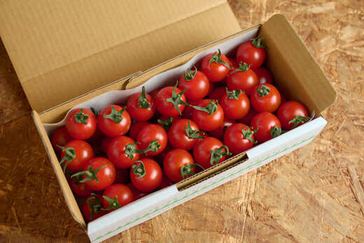 【定期便全6回 1月～6月毎月お届け】 フルーツミニトマト 『 くれまるこ 』 1.2kg フルーツトマト ふるーつとまと とまと トマト 甘い 濃厚 美味しい 箱詰め 高知 久礼 宇井農園 6回コー