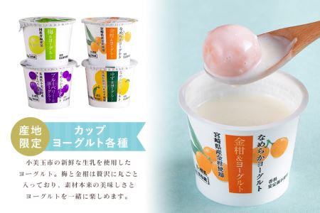 おみたまヨーグルトセット ヨーグルト ドリンクタイプ 飲むヨーグルト 乳酸菌飲料 ヨーグルト飲料 低糖 低カロリー 敬老の日 お取り寄せ 詰め合わせ プチギフト 誕生日 内祝い スイーツ 腸活 善玉菌