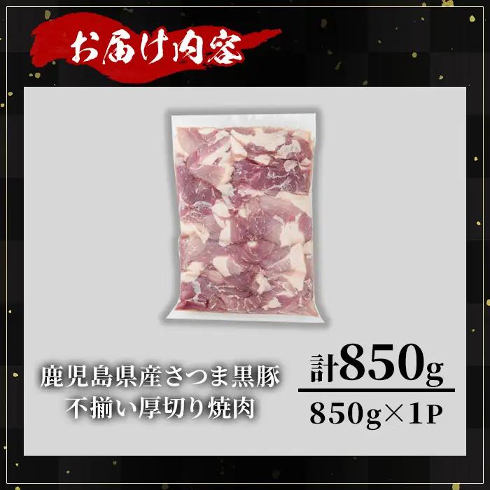 【訳あり】鹿児島県産 さつま 黒豚 不揃い 厚切り 焼肉 (計850g・850g×1P) 鹿児島県産 豚肉 黒豚 【KNOT】 A1166