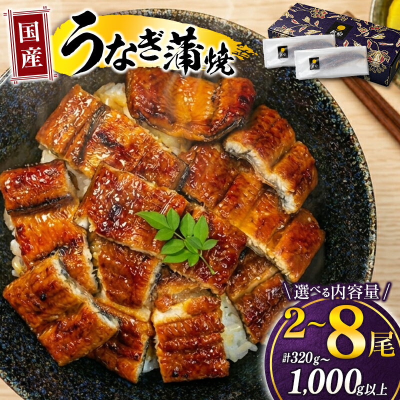 【ふるさと納税】うなぎ 国産 鰻 蒲焼 （2尾～ 8尾） 人気 小分け ウナギ unagi 丑の日 宮崎 高鍋町 鰻楽 ランキング 送料無料 簡単 調理 家庭用 おかず 【TVで話題沸騰！】