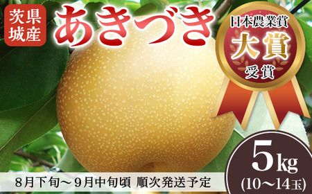 【先行予約】【5月分 数量限定】茨城県産「あきづき」約5kg【2025年8月下旬～9月中旬にかけて発送予定】【 梨 果物 くだもの フルーツ 国産 季節限定 人気 贈り物 お取り寄せ 梨 デザート 梨 ﾅｼ 】