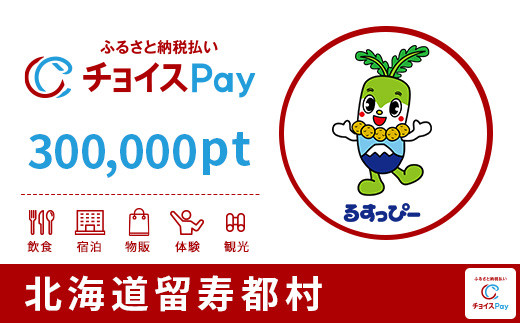 
留寿都村チョイスPay 300,000pt（1pt＝1円） 北海道 留寿都村 ルスツ ルスツリゾート リゾート 後志 ニセコ 近郊 【10060】【会員限定のお礼の品】
