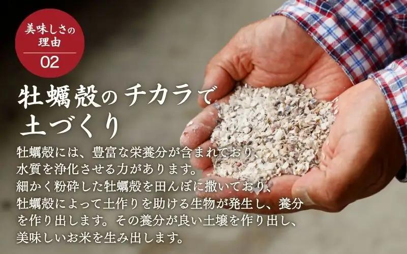 ＜全3回定期便＞ 真庭市産コシヒカリ 米ぬか 牡蠣栽培米 『 一心良米 』 無洗米 5kg×3回 【令和7年産】 / お米 いっしんりょうまい 岡山県 こしひかり 人気 ブランド 2025年産 【tk