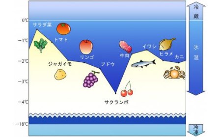 〈山陰大松〉氷温熟成　西京漬けギフトセット10切れ SSK-50