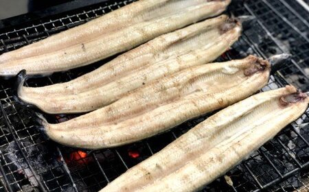 特選うなぎ蒲焼き2本定期便　計3回お届け ヤマシン