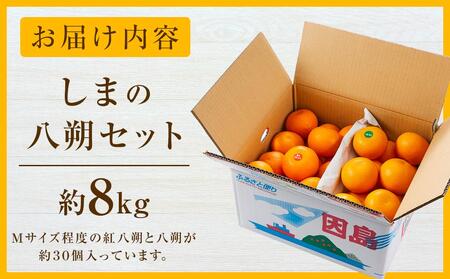 しまの八朔セット約8kg(Mサイズ程度 約30個 紅八朔と八朔)<2026年1月下旬から発送>