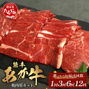 【ふるさと納税】 ≪配送回数が選べる≫ 熊本あか牛 焼肉用カット ( バラ ・ ロース ) 500g 1回 ・ 3回 ・ 6回 ・12回 くまもとあか牛 国産牛 牛 牛肉 肉 和牛 赤身 サシ 国産 牛肉 ギフト 贈答用 熊本 送料無料 GI認証取得 冷凍 熊本 熊本県産 あか牛 赤牛 切り落とし